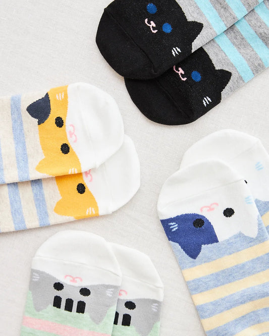 black cat stripped socks