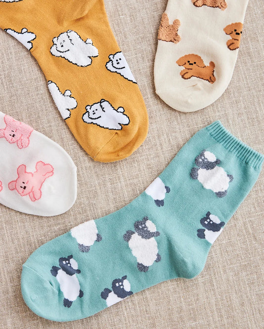 colorful women socks