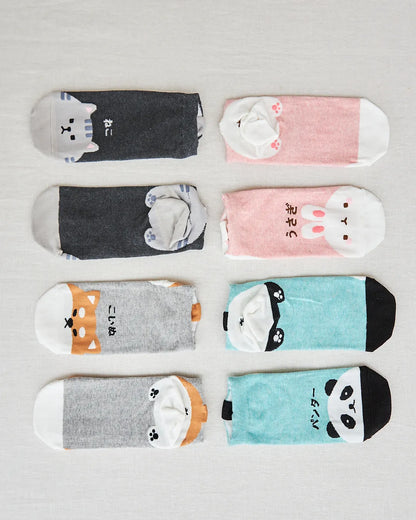 cute fun socks women