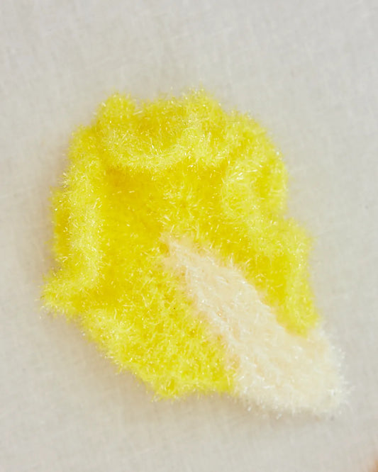 fun sponge 