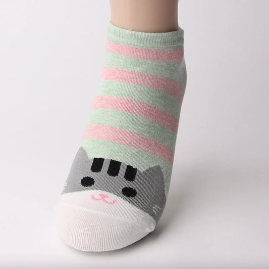 grey cat cute socks