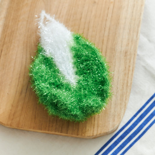 kale cabbage dish sponge