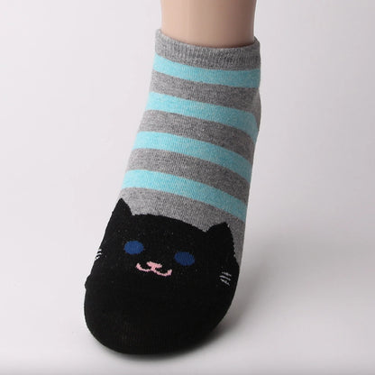 low socks black cat
