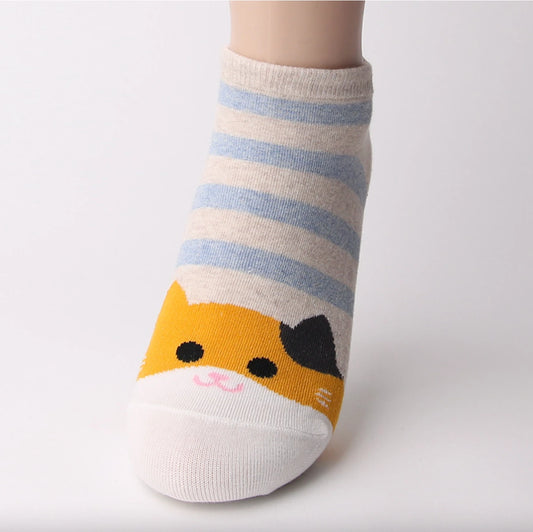 red cat low socks