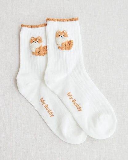socks white brown dog
