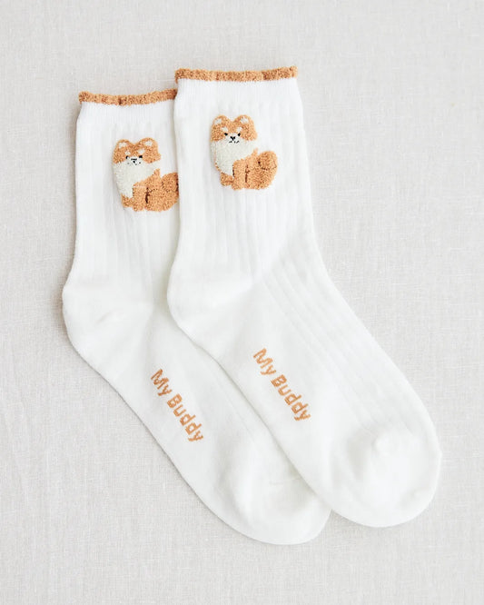 socks white brown dog